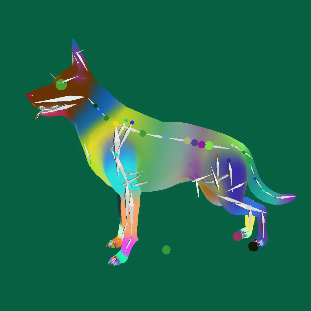 Belgian malinois